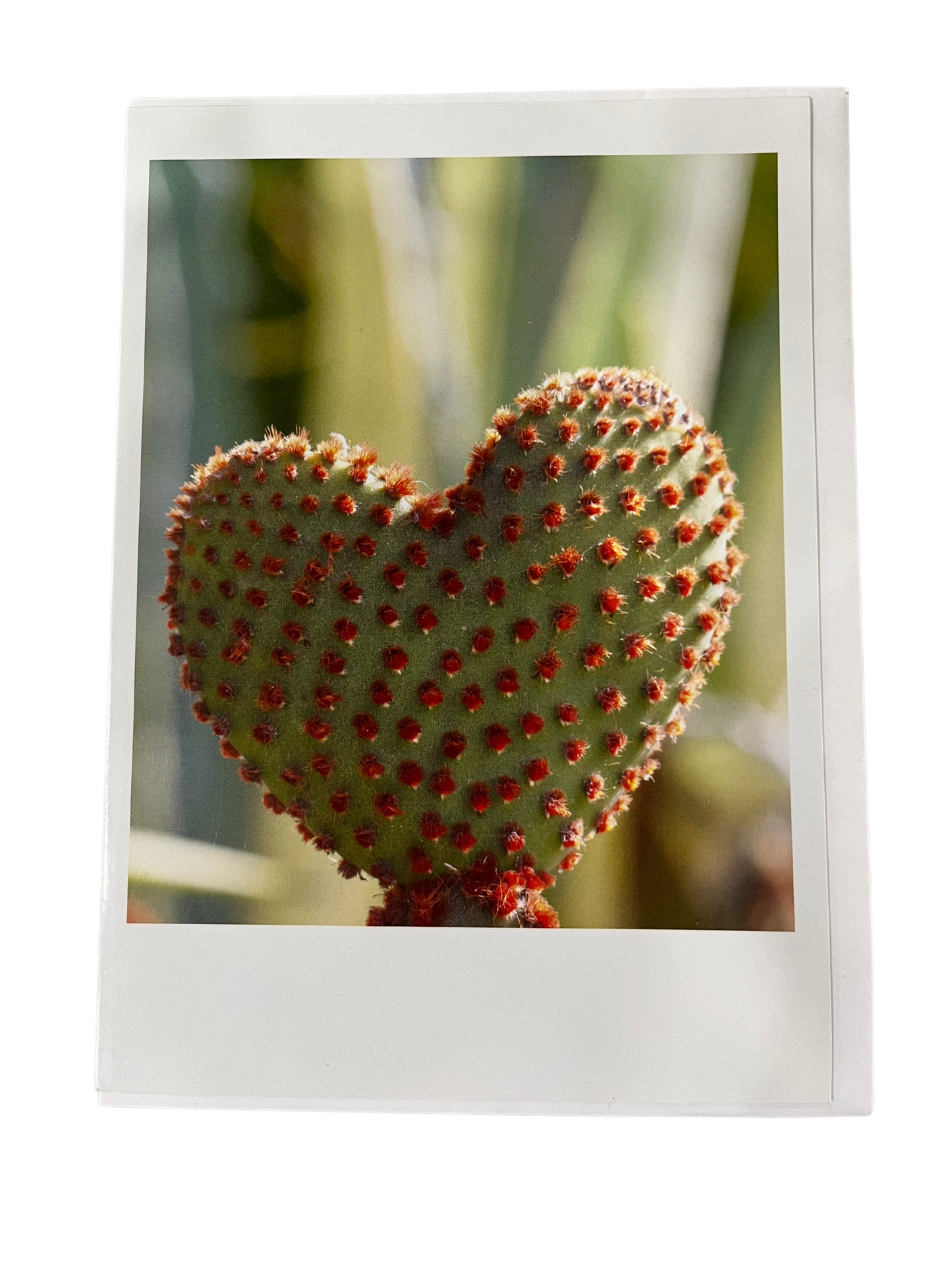 Cactus Heart Valentine's Day Card