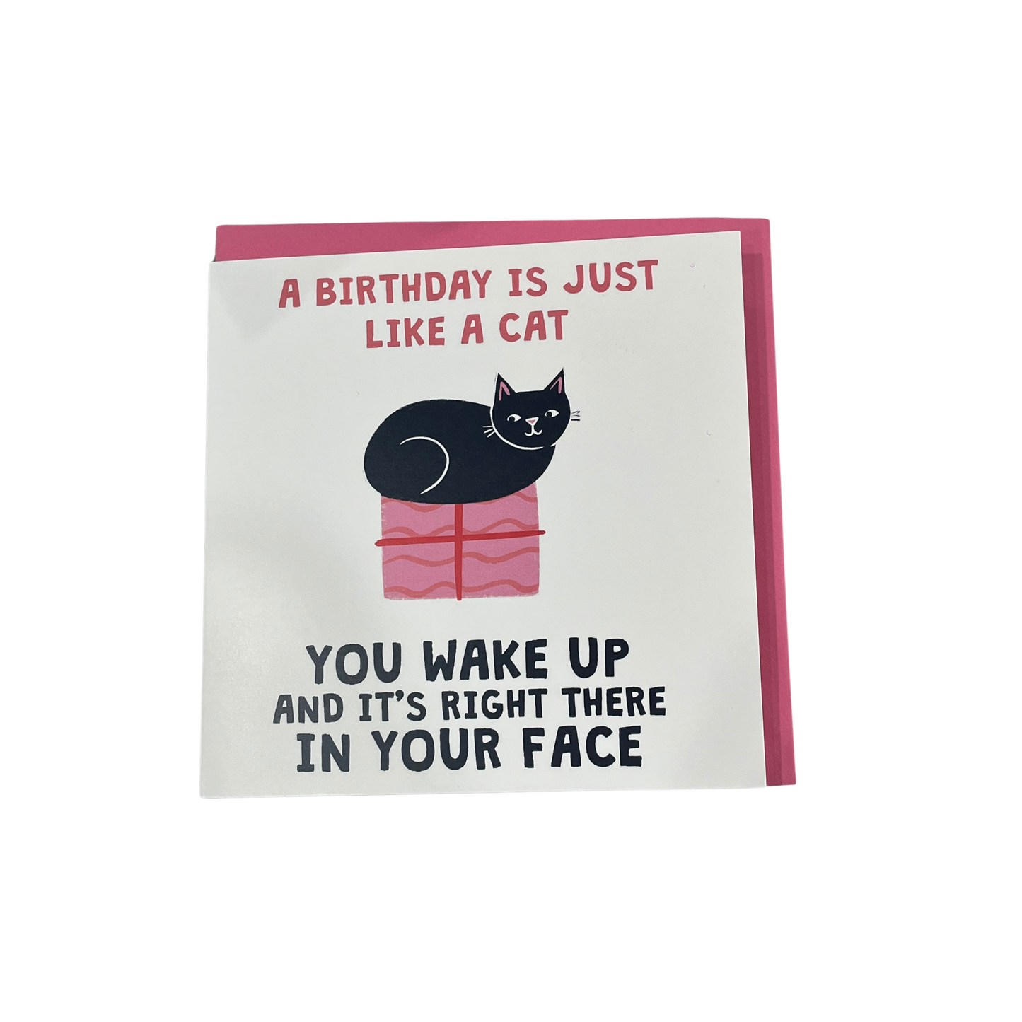 A Birthday Is Just Like A Cat Birthday Card