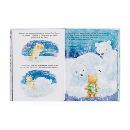 Bartholomew Bear and the Snow Book