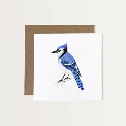 Blue Jay Art Card