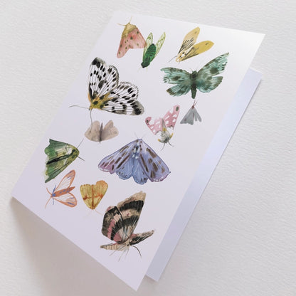 Butterflies and Moths Art Card