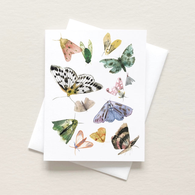 Butterflies and Moths Art Card