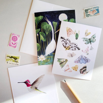 Butterflies and Moths Art Card