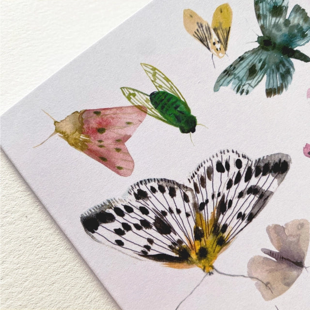 Butterflies and Moths Art Card