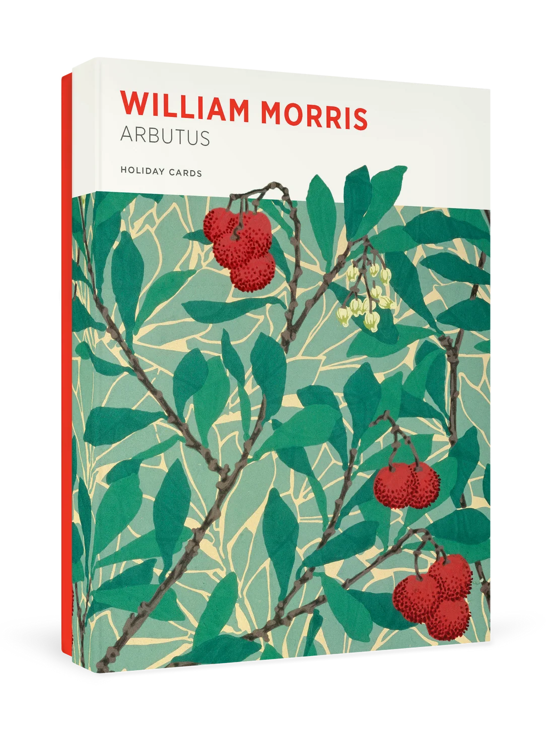 William Morris Arbutus Holiday Boxed Cards