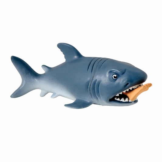 Chomp The Shark