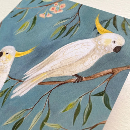 Cockatoos Art Card
