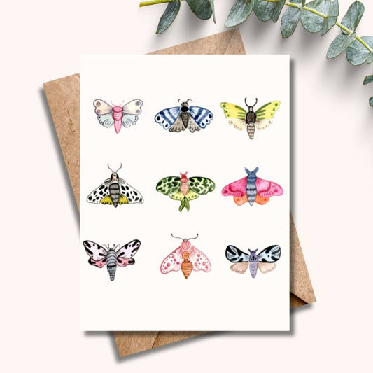 Colourful Moth Greeting Card