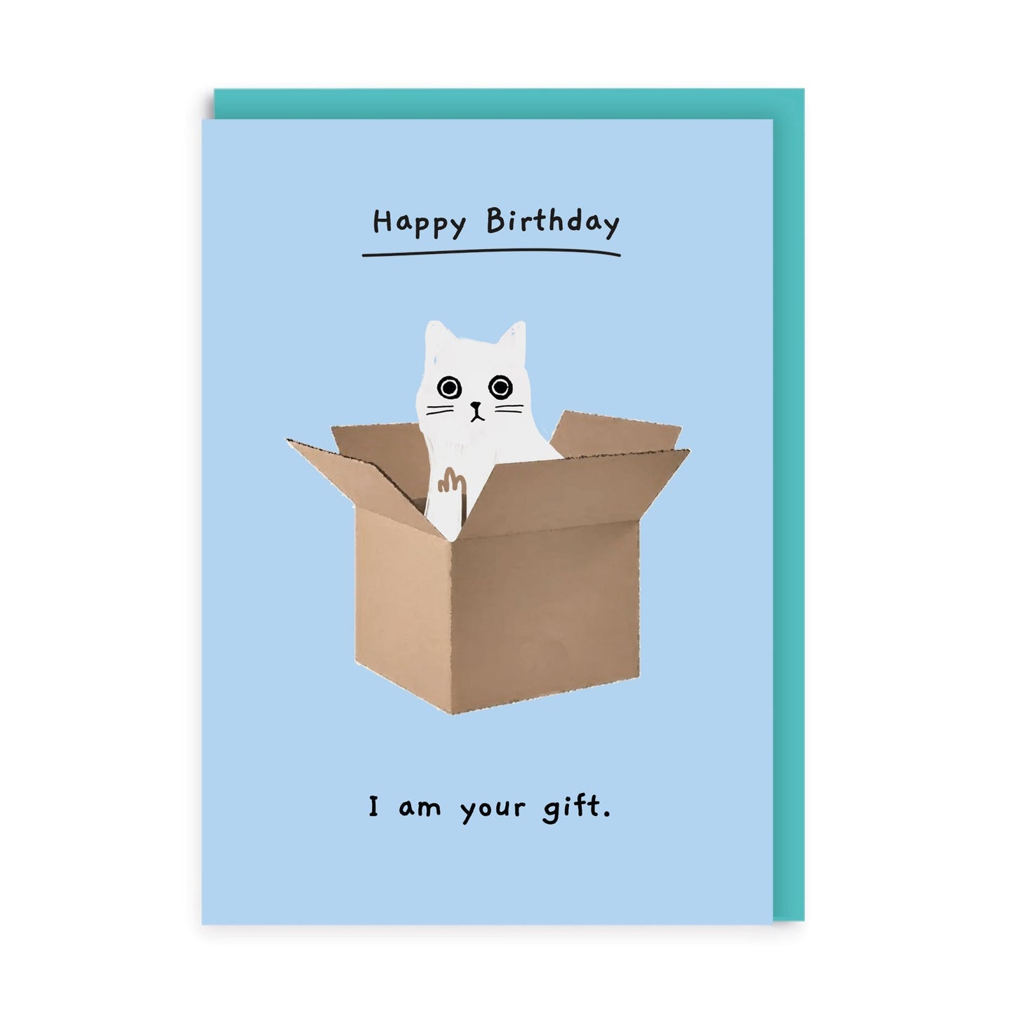 Cat In A Box Card