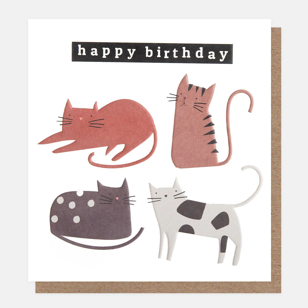 Happy Birthday Cats Card