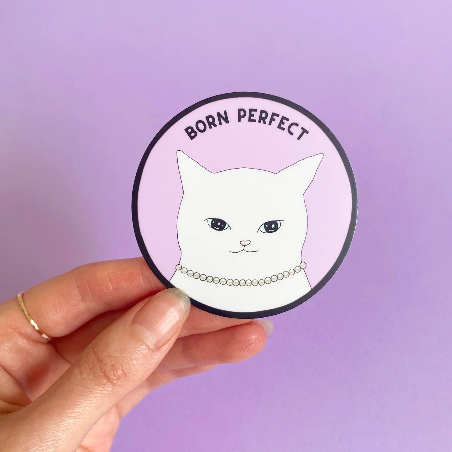 S62 Fancy White Cat Sticker