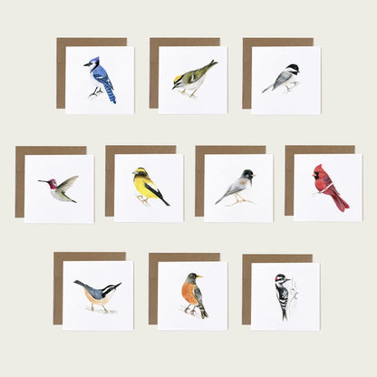 Garden Birds Card Set