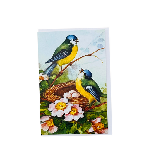 Bluetits Card