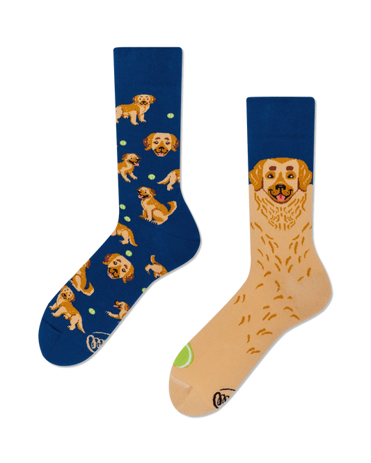 Golden Boy Crew Socks
