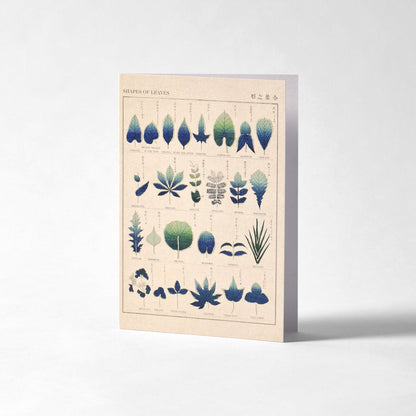 Shapes of Leaves Greeting Card
