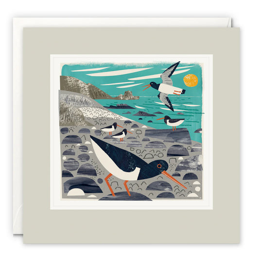 St Loy's Cove Oystercatchers Art Card