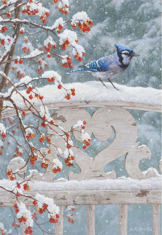 Winter Blue Jay Holiday Boxed Cards