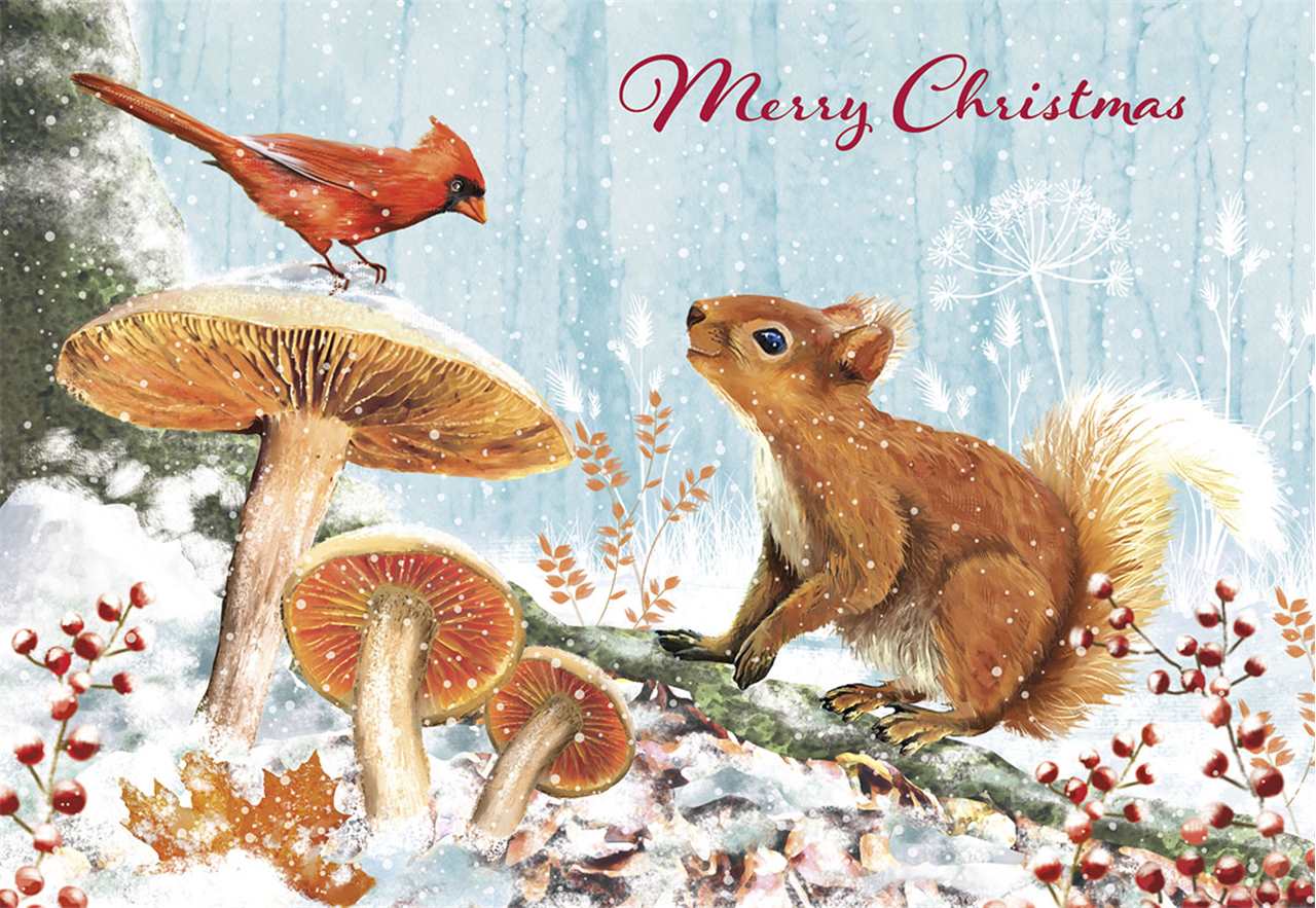 Cardinal and Squirrel Holiday Boxed Cards