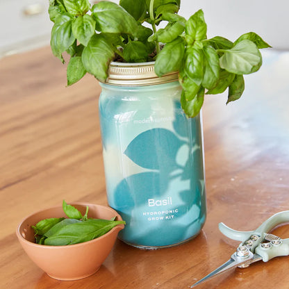 Garden Jars - Hydroponic Herb Growing Kit