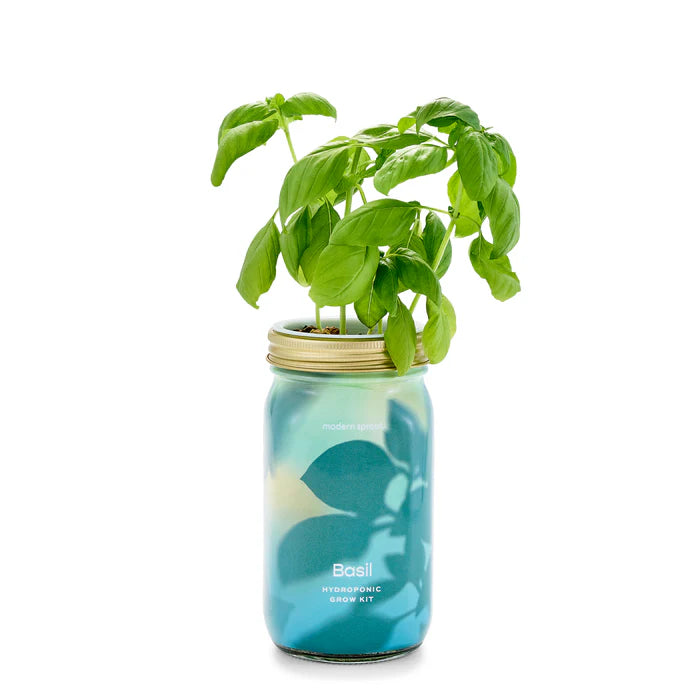 Garden Jars - Hydroponic Herb Growing Kit
