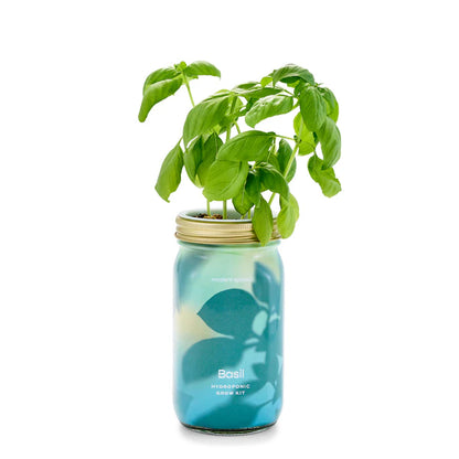Garden Jars - Hydroponic Herb Growing Kit