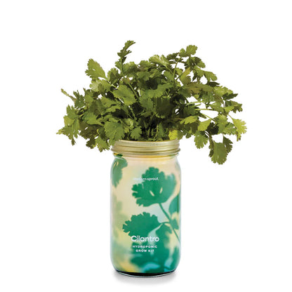 Garden Jars - Hydroponic Herb Growing Kit