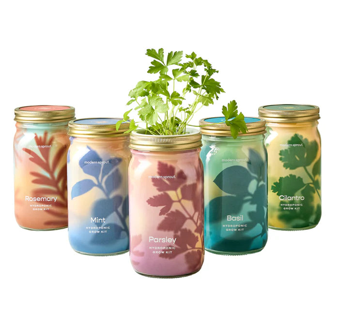 Garden Jars - Hydroponic Herb Growing Kit