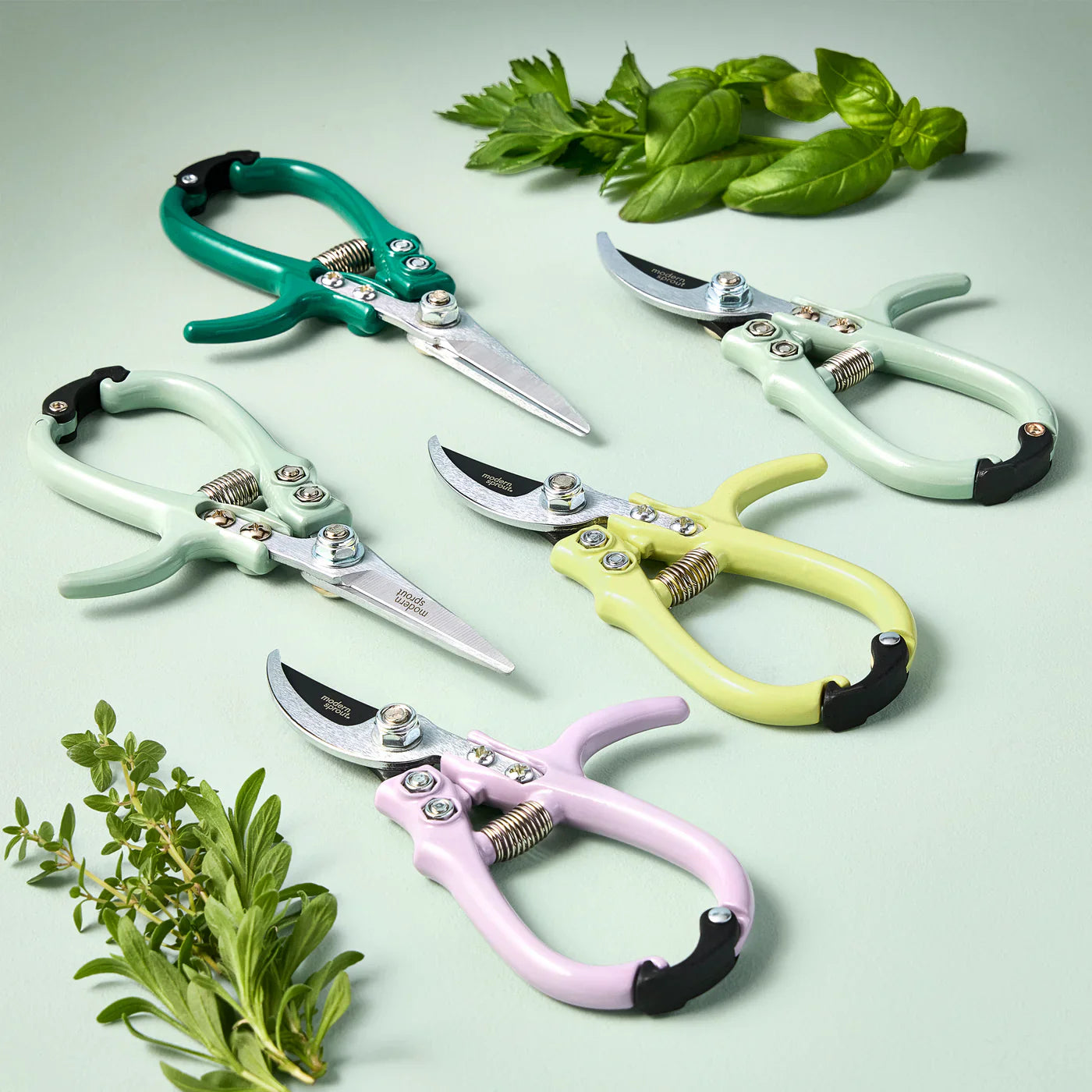 Shears