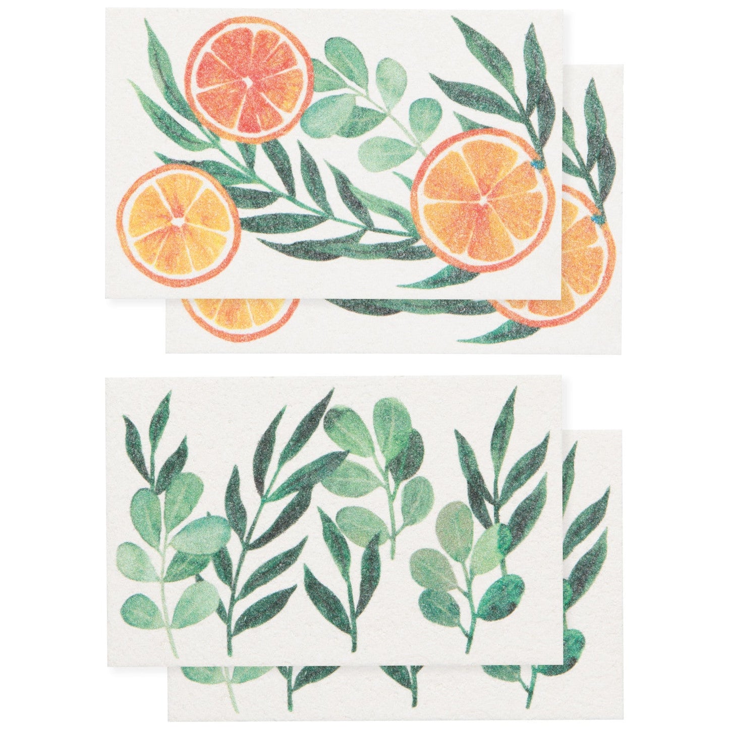 Cedar & Citrus Pop Up Cellulose Sponge Set