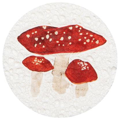 Autumn Bounty Compostable Cellulose Sponges