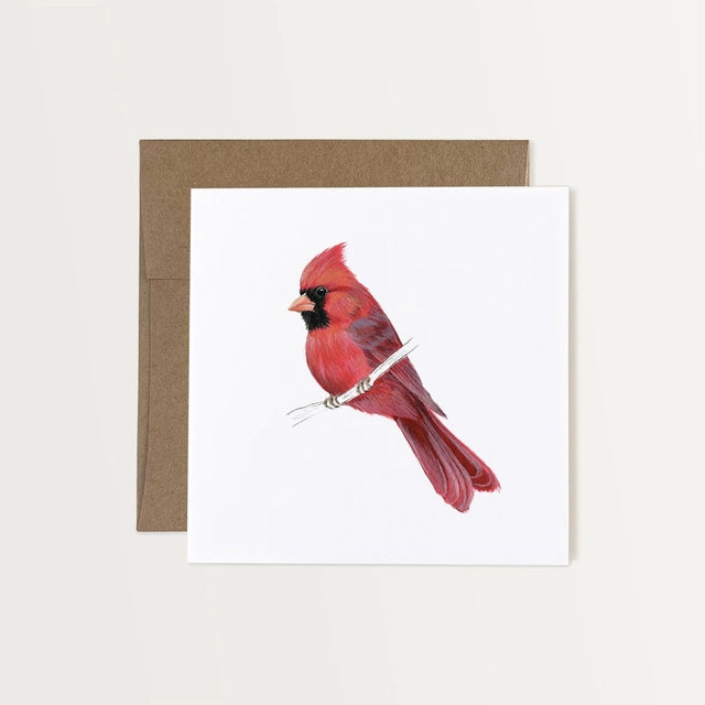 Northern Cardinal Art Card