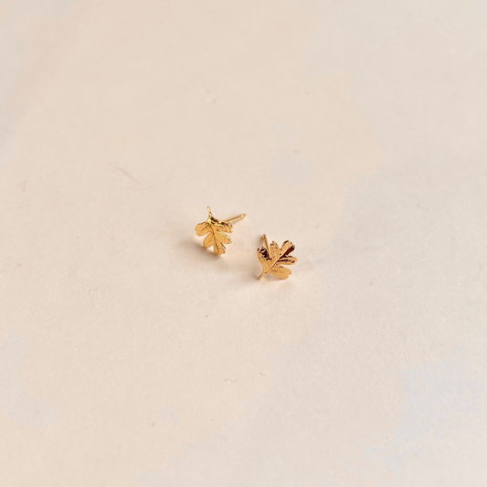 Oak Leaf Studs