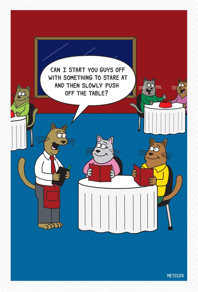 Cat Dining Birthday Card