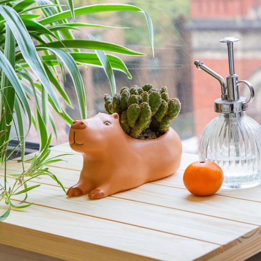 Cappy The Capybara Planter Large