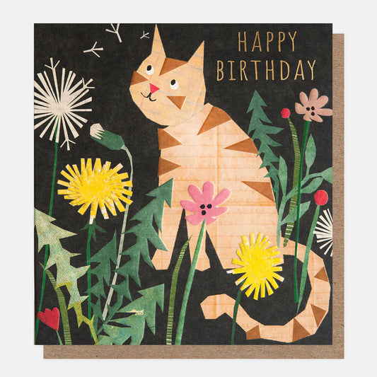 Happy Birthday Cat Card