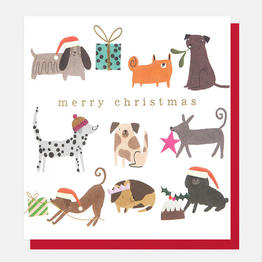 Merry Christmas, Dogs Card