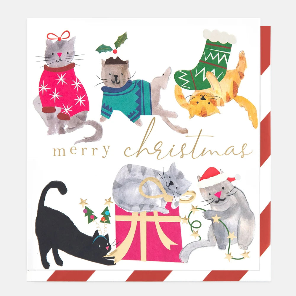 Merry Christmas Cats Card