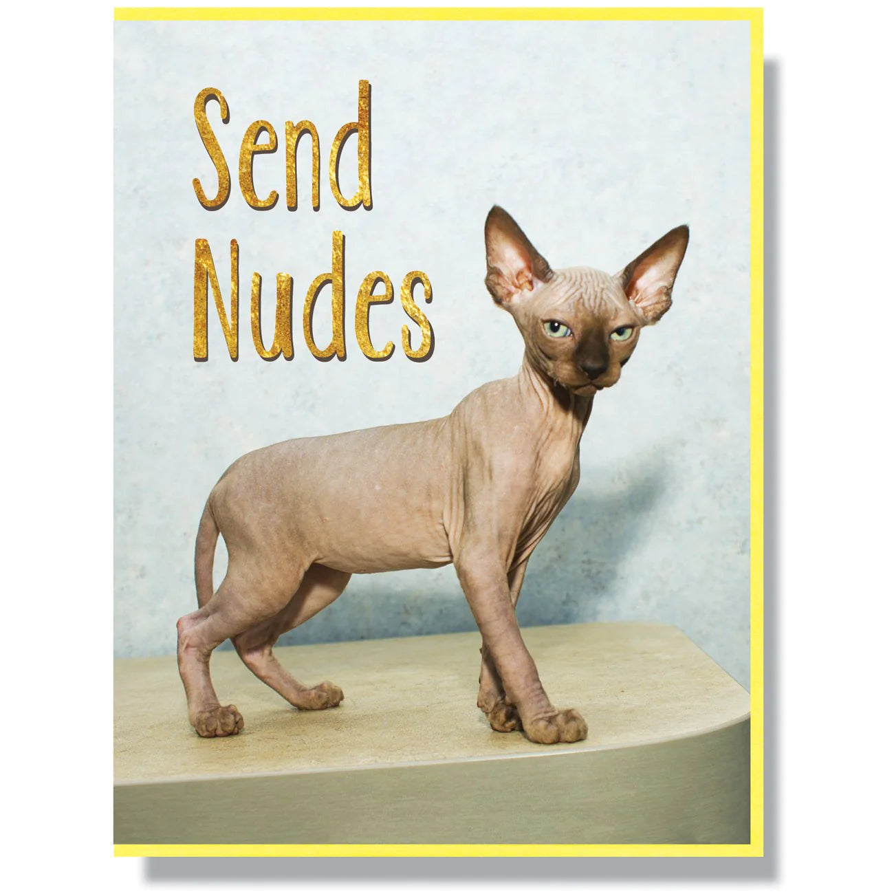 Send Nudes Card