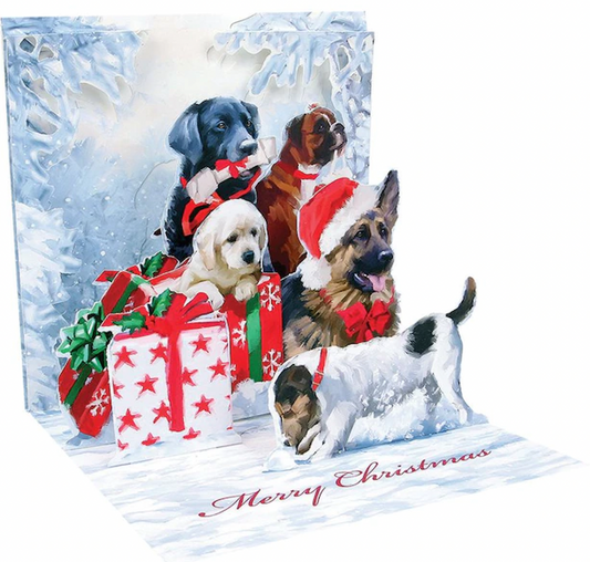 Pop-Up Light Up Winter Dogs Card