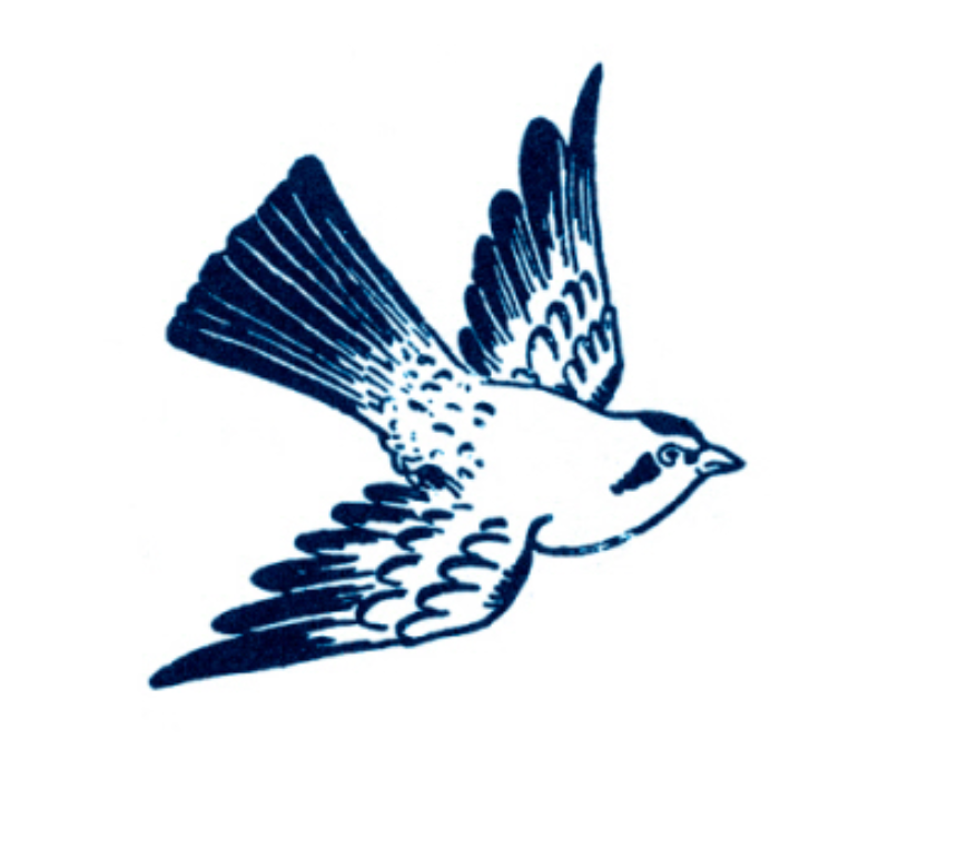 Cartolina Bird Temporary Tattoos