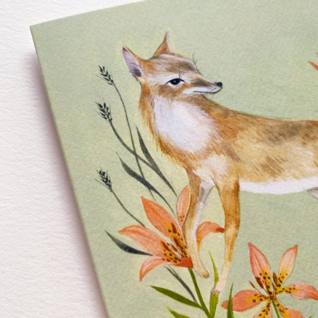 Swift Fox Art Card