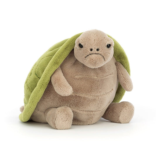 Timmy Turtle Plush Toy