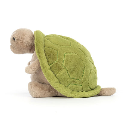 Timmy Turtle Plush Toy