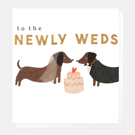 Newly Weds, Dogs And Cake Card