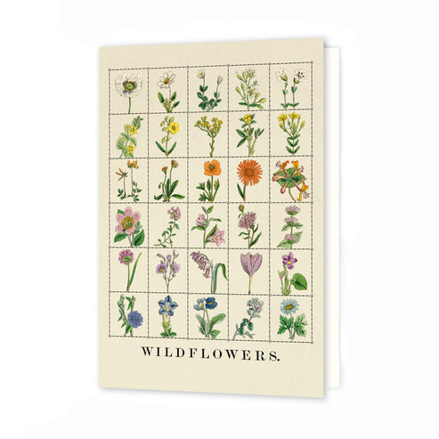 Wildflowers Greeting Card