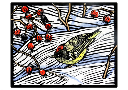 Molly Hashimoto Winter Birds Assorted Holiday Boxed Cards