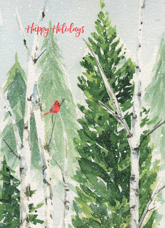 Pine Tree And Birch Holiday Boxed Cards