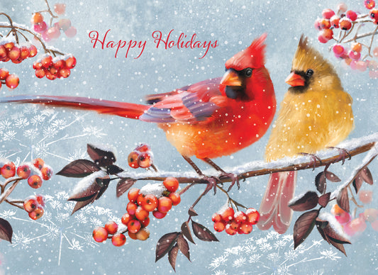 Cardinals Holiday Boxed Cards