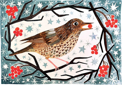 Song Thrush With Berries Boxed Holiday Cards
