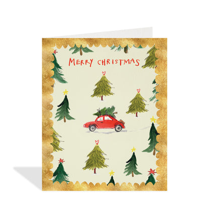 Assorted Season's Greetings Boxed Holiday Cards
